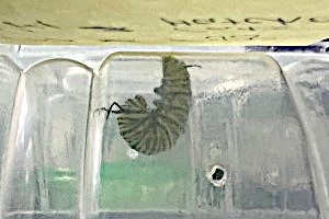 Sub Image 3