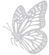 Monarch butterfly