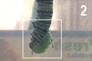 Sub Image 2