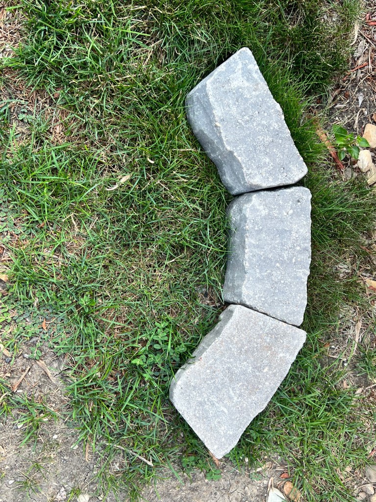 Full-size Image